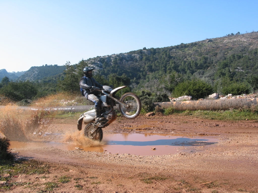 δημήτρης λιόλιος